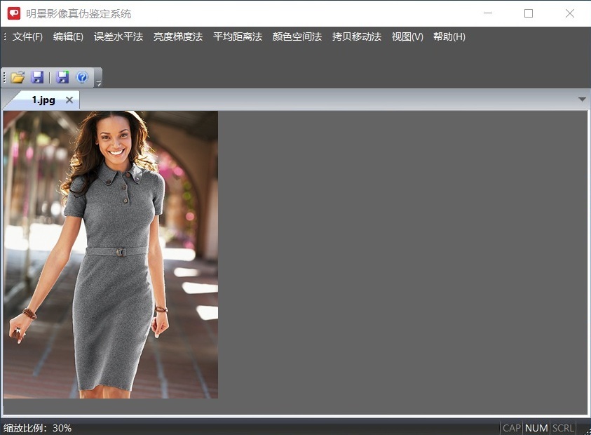 老哥俱乐部影像真伪判断系统