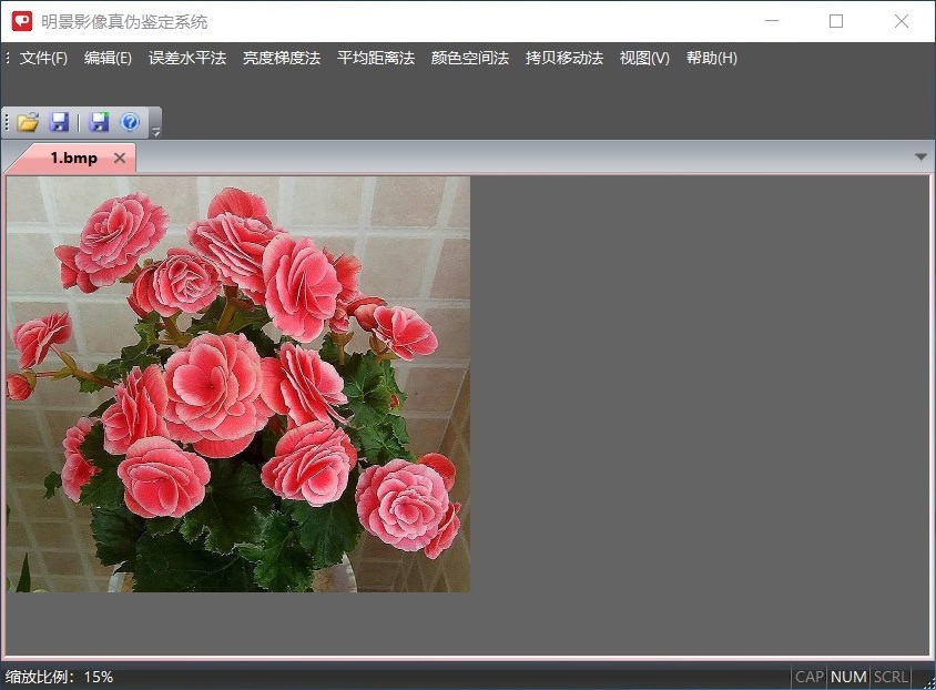 老哥俱乐部影像真伪判断系统