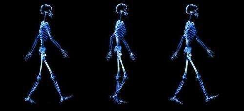 老哥俱乐部-老哥必备的交流社区