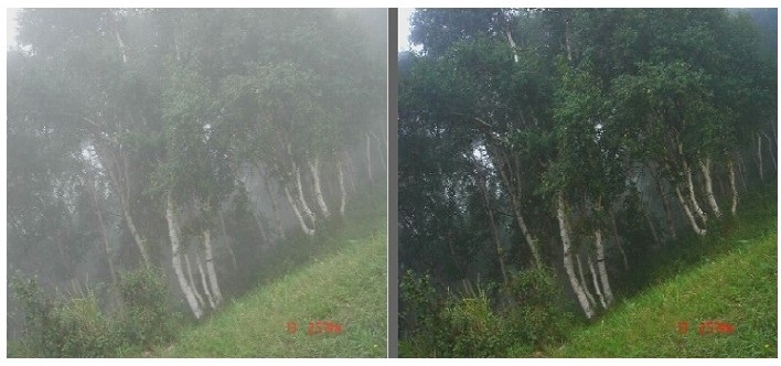 老哥俱乐部-老哥必备的交流社区